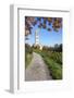 Path Leading Through Vineyards to a Church-Markus Lange-Framed Photographic Print