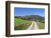 Path Leading to Belchen Mountain, Black Forest, Baden Wurttemberg, Germany, Europe-Markus-Framed Photographic Print