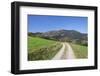 Path Leading to Belchen Mountain, Black Forest, Baden Wurttemberg, Germany, Europe-Markus-Framed Photographic Print