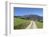 Path Leading to Belchen Mountain, Black Forest, Baden Wurttemberg, Germany, Europe-Markus-Framed Photographic Print