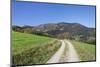 Path Leading to Belchen Mountain, Black Forest, Baden Wurttemberg, Germany, Europe-Markus-Mounted Photographic Print