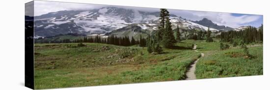 Path, Mazama Ridge, Mt. Rainier National Park, Mt. Rainier, Washington, USA-null-Stretched Canvas