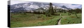 Path, Mazama Ridge, Mt. Rainier National Park, Mt. Rainier, Washington, USA-null-Stretched Canvas