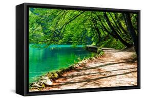 Path near A Forest Lake in Plitvice Lakes National Park, Croatia-Lamarinx-Framed Stretched Canvas