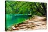 Path near A Forest Lake in Plitvice Lakes National Park, Croatia-Lamarinx-Stretched Canvas