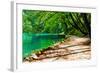 Path near A Forest Lake in Plitvice Lakes National Park, Croatia-Lamarinx-Framed Photographic Print