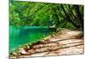 Path near A Forest Lake in Plitvice Lakes National Park, Croatia-Lamarinx-Mounted Photographic Print