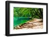 Path near A Forest Lake in Plitvice Lakes National Park, Croatia-Lamarinx-Framed Photographic Print