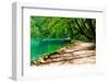 Path near A Forest Lake in Plitvice Lakes National Park, Croatia-Lamarinx-Framed Photographic Print