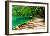 Path near A Forest Lake in Plitvice Lakes National Park, Croatia-Lamarinx-Framed Photographic Print