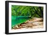 Path near A Forest Lake in Plitvice Lakes National Park, Croatia-Lamarinx-Framed Photographic Print