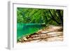 Path near A Forest Lake in Plitvice Lakes National Park, Croatia-Lamarinx-Framed Photographic Print