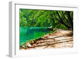 Path near A Forest Lake in Plitvice Lakes National Park, Croatia-Lamarinx-Framed Photographic Print