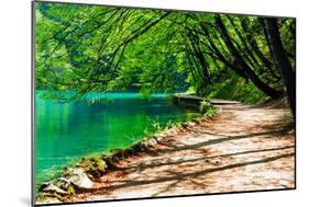 Path near A Forest Lake in Plitvice Lakes National Park, Croatia-Lamarinx-Mounted Photographic Print