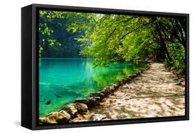 Path near A Forest Lake with Fish in Plitvice Lakes National Park, Croatia-Lamarinx-Framed Stretched Canvas