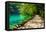 Path near A Forest Lake with Fish in Plitvice Lakes National Park, Croatia-Lamarinx-Framed Stretched Canvas