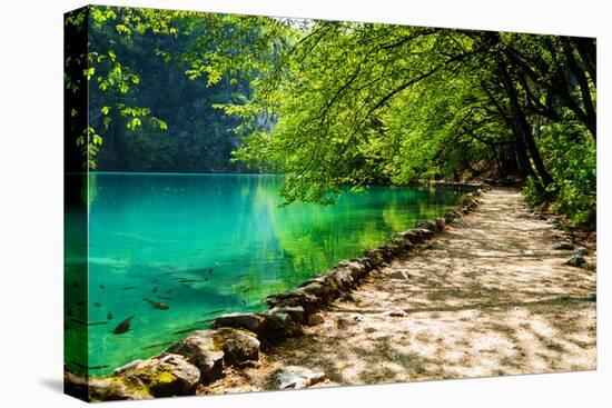 Path near A Forest Lake with Fish in Plitvice Lakes National Park, Croatia-Lamarinx-Stretched Canvas