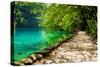 Path near A Forest Lake with Fish in Plitvice Lakes National Park, Croatia-Lamarinx-Stretched Canvas