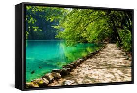 Path near A Forest Lake with Fish in Plitvice Lakes National Park, Croatia-Lamarinx-Framed Stretched Canvas