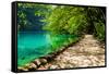 Path near A Forest Lake with Fish in Plitvice Lakes National Park, Croatia-Lamarinx-Framed Stretched Canvas