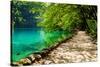 Path near A Forest Lake with Fish in Plitvice Lakes National Park, Croatia-Lamarinx-Stretched Canvas