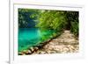 Path near A Forest Lake with Fish in Plitvice Lakes National Park, Croatia-Lamarinx-Framed Photographic Print