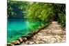 Path near A Forest Lake with Fish in Plitvice Lakes National Park, Croatia-Lamarinx-Mounted Photographic Print