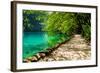 Path near A Forest Lake with Fish in Plitvice Lakes National Park, Croatia-Lamarinx-Framed Photographic Print