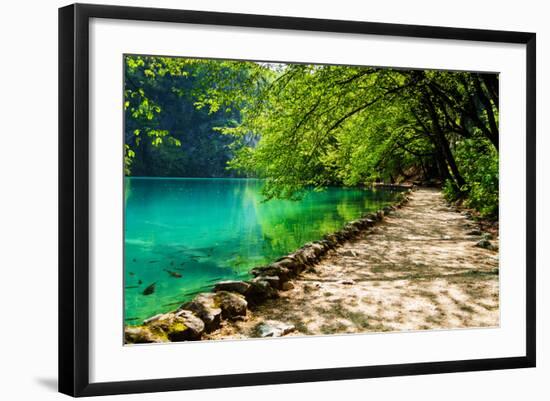 Path near A Forest Lake with Fish in Plitvice Lakes National Park, Croatia-Lamarinx-Framed Photographic Print