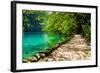 Path near A Forest Lake with Fish in Plitvice Lakes National Park, Croatia-Lamarinx-Framed Photographic Print