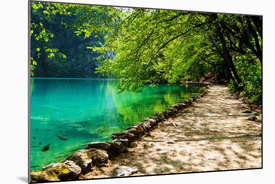 Path near A Forest Lake with Fish in Plitvice Lakes National Park, Croatia-Lamarinx-Mounted Photographic Print