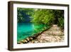 Path near A Forest Lake with Fish in Plitvice Lakes National Park, Croatia-Lamarinx-Framed Photographic Print