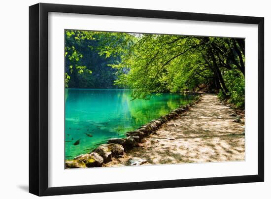 Path near A Forest Lake with Fish in Plitvice Lakes National Park, Croatia-Lamarinx-Framed Photographic Print