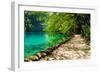 Path near A Forest Lake with Fish in Plitvice Lakes National Park, Croatia-Lamarinx-Framed Photographic Print