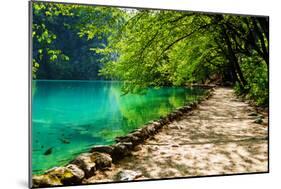 Path near A Forest Lake with Fish in Plitvice Lakes National Park, Croatia-Lamarinx-Mounted Photographic Print