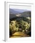 Path Near the Villa-Helen J. Vaughn-Framed Giclee Print