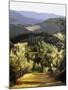 Path Near the Villa-Helen J. Vaughn-Mounted Giclee Print