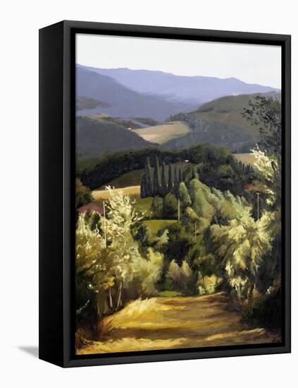 Path Near the Villa-Helen J. Vaughn-Framed Stretched Canvas