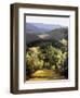 Path Near the Villa-Helen J. Vaughn-Framed Giclee Print