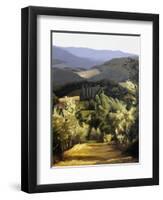 Path Near the Villa-Helen J. Vaughn-Framed Giclee Print