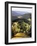 Path Near the Villa-Helen J. Vaughn-Framed Giclee Print