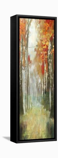 Path of Dreams-Andrew Michaels-Framed Stretched Canvas