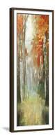 Path of Dreams-Andrew Michaels-Framed Art Print