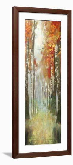 Path of Dreams-Andrew Michaels-Framed Art Print