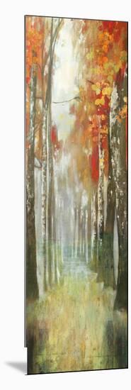 Path of Dreams-Andrew Michaels-Mounted Art Print