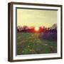 Path of light, 2013,-Helen White-Framed Giclee Print