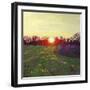 Path of light, 2013,-Helen White-Framed Giclee Print