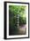 Path of Meditation-George Oze-Framed Photographic Print