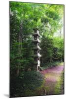 Path of Meditation-George Oze-Mounted Photographic Print