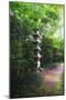 Path of Meditation-George Oze-Mounted Photographic Print